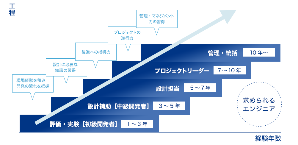 入社後のキャリアアップイメージ図